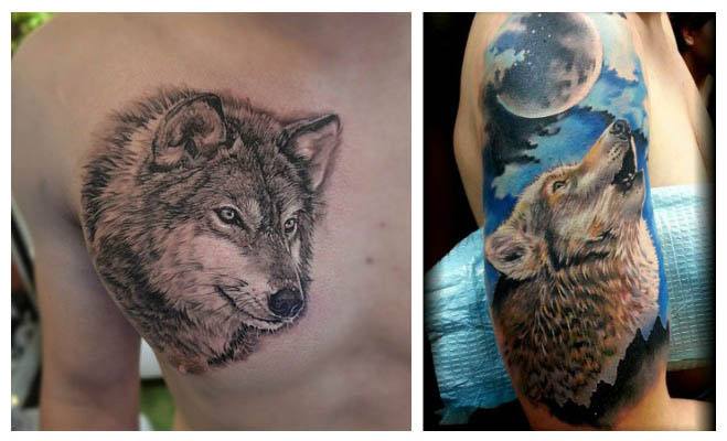 Tatuajes de lobos ¿Cuál es su verdadero significado?